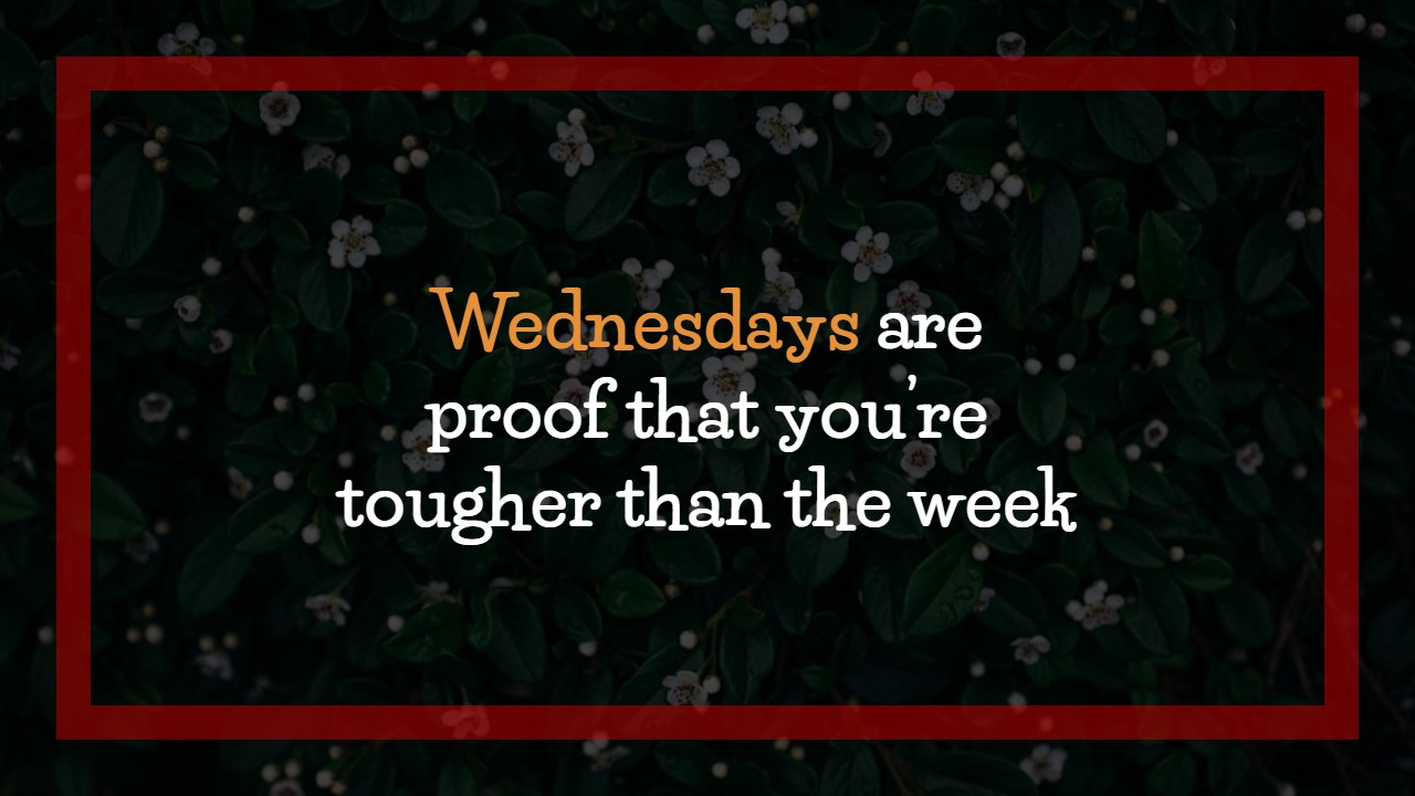 Wednesday Motivational Quotes